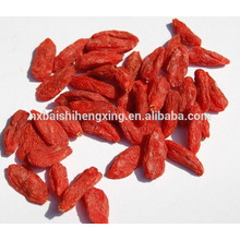 Boxthorn, Ningxia Yishaotang Goji-Beere Trockenfrüchte zu exportieren, getrocknete Goji-Beeren Obst Ningxia getrocknete Goji-Beere Ernährung